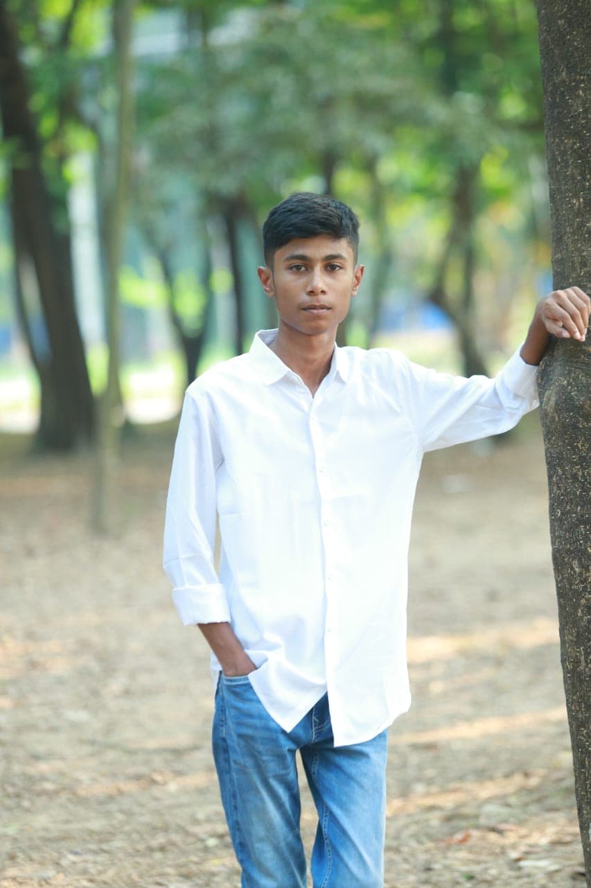 Ahad Sheikh, Web Developer